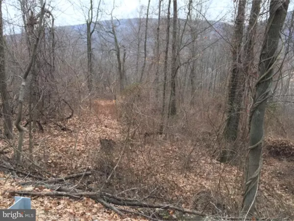 Ashland, PA 17921,791 HIGH RD