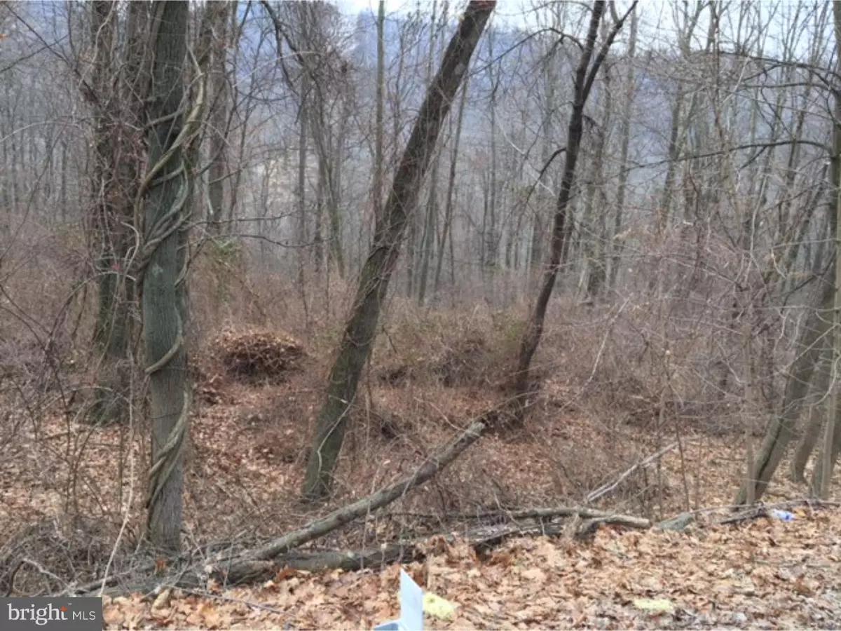 Ashland, PA 17921,791 HIGH RD