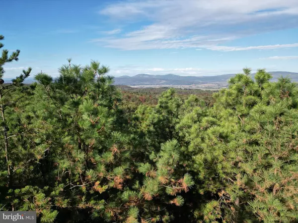 LOT 50 ASHTON WOODS DR, Moorefield, WV 26836