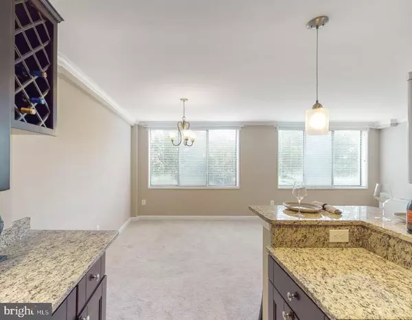 Alexandria, VA 22307,6641 WAKEFIELD DR #219