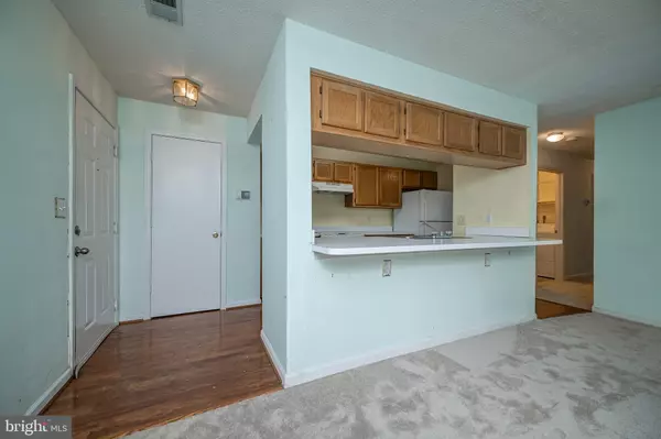 Silver Spring, MD 20906,14202 VALLEYFIELD DR #3-38