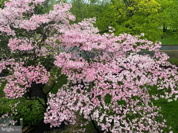 Wayne, PA 19087,1705 MOUNTAINVIEW DR