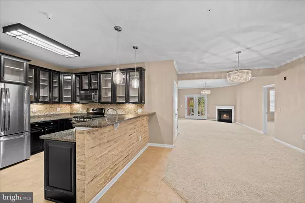 Broadlands, VA 20148,43138 STILLWATER TER #305