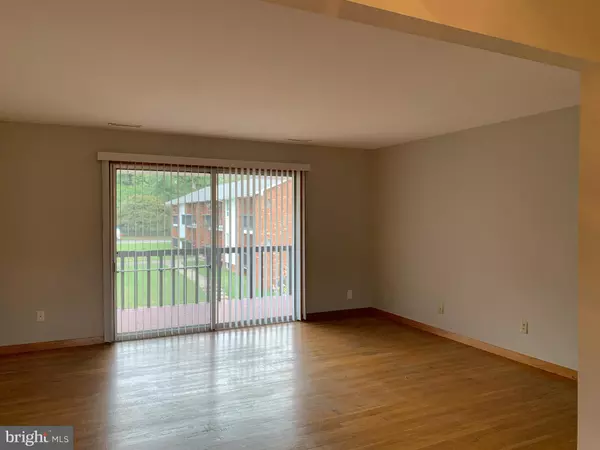 Warrenton, VA 20186,117 GREEN ST #4