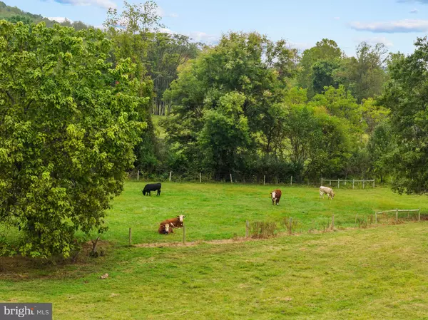 Marshall, VA 20115,10603 RAMEY RD