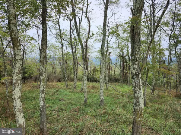 Romney, WV 26757,HIDDEN VALLEY DR. OFF OF PINEY MOUNTAIN RD.