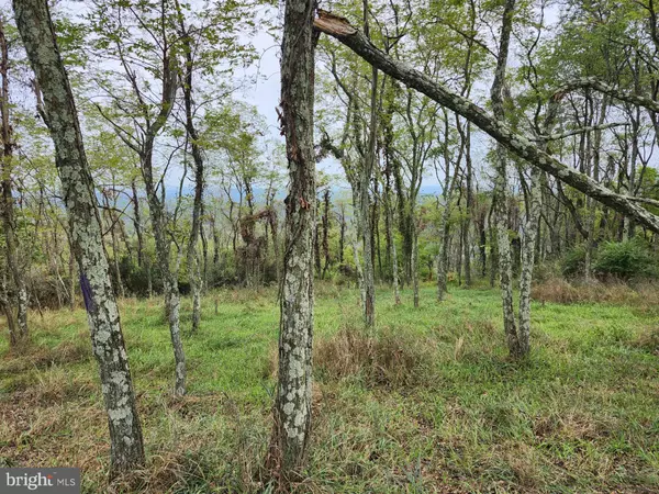 Romney, WV 26757,HIDDEN VALLEY DR. OFF OF PINEY MOUNTAIN RD.