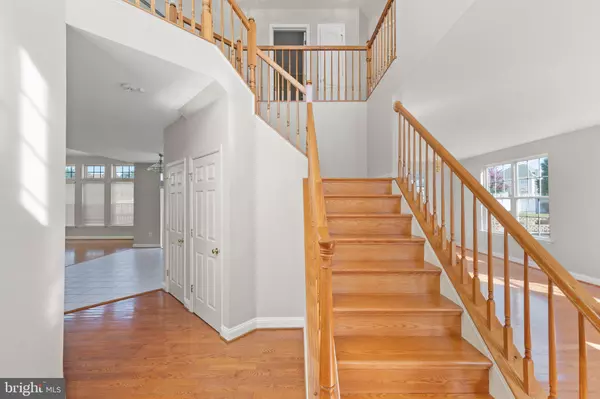 Winchester, VA 22602,114 NASSAU DR