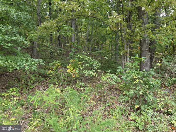 Front Royal, VA 22630,0 DRUMMER HILL RD