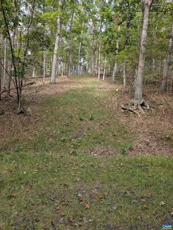 Basye, VA 22810,0 FAIRWAY DR