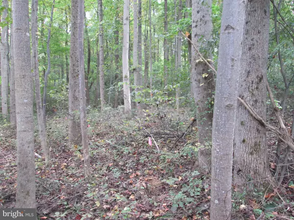 Barto, PA 19504,0 FORGEDALE RD