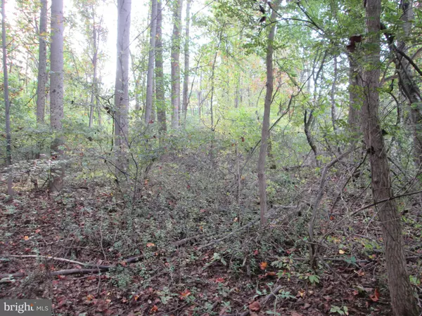 Barto, PA 19504,0 FORGEDALE RD