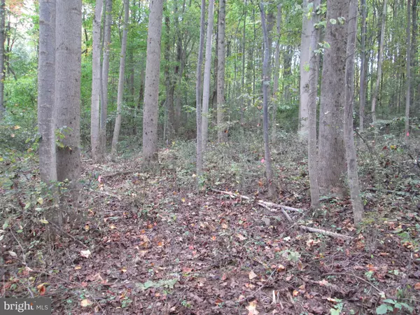 Barto, PA 19504,0 FORGEDALE RD