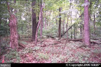 Shepherdstown, WV 25443,STEAMBOAT RUN ROAD