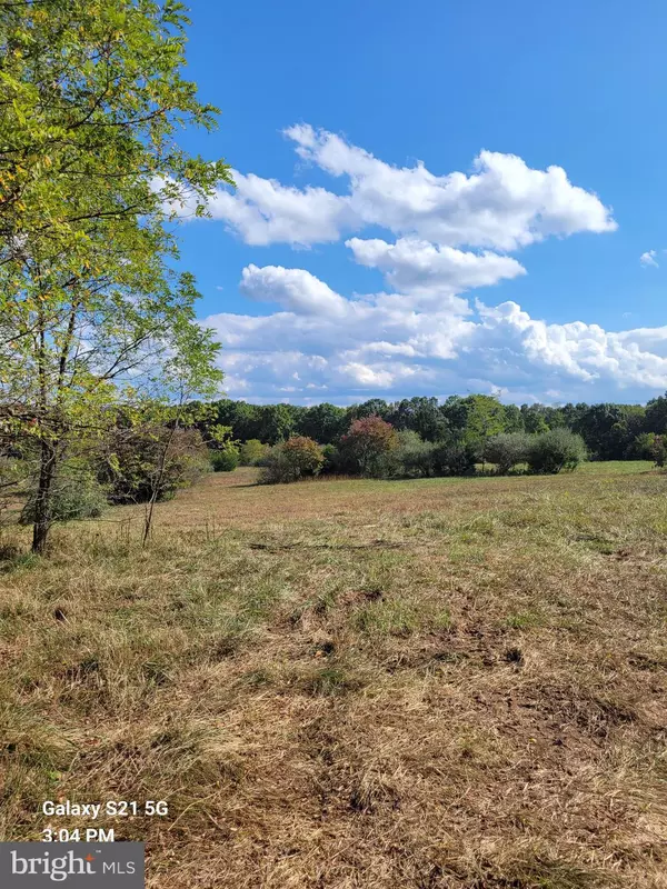 Levels, WV 25431,20.31 AC JERSEY MOUNTAIN RD