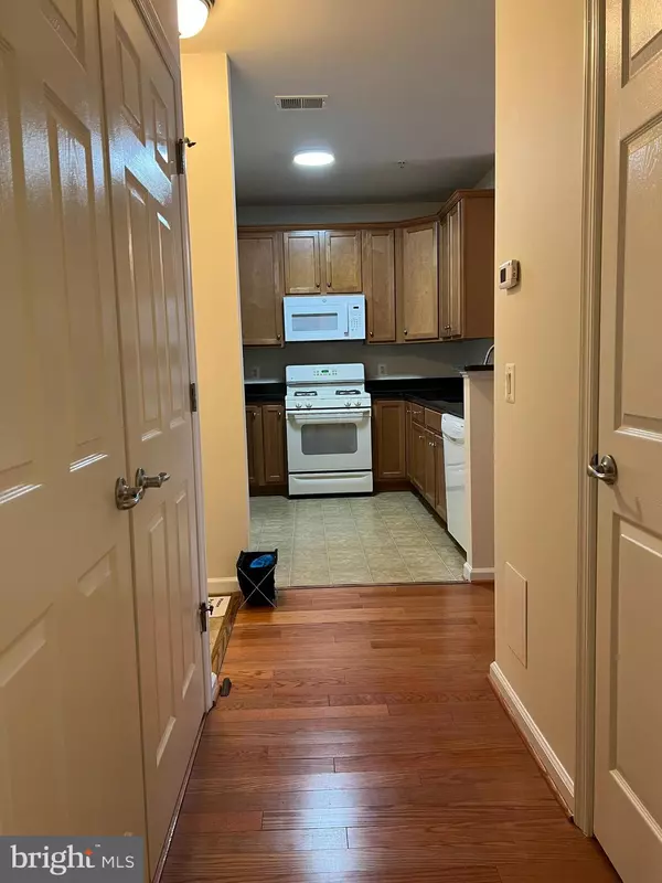 Chantilly, VA 20151,3840 LIGHTFOOT ST #240