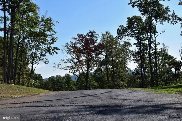 Winchester, VA 22602,158.5 ACRES LOT 3 LAUREL GROVE RD.