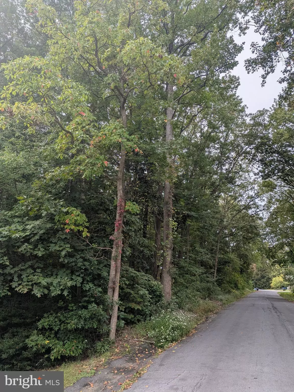 Havre De Grace, MD 21078,FOX TRL