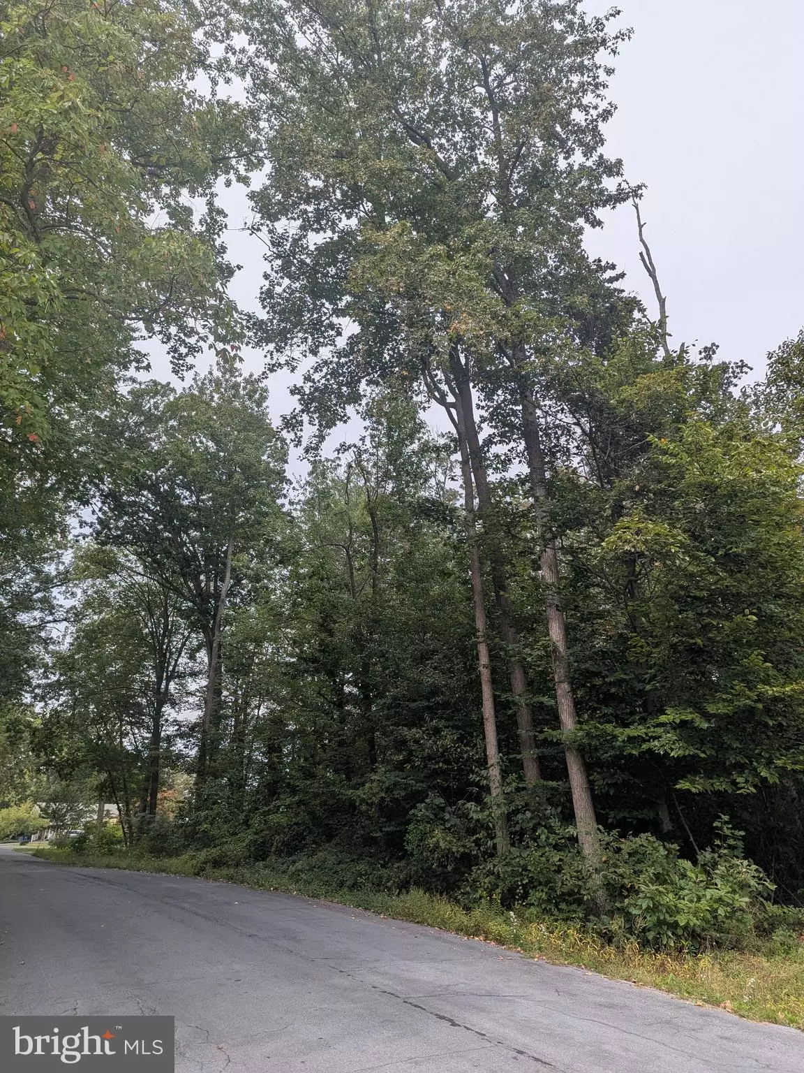 Havre De Grace, MD 21078,FOX TRAIL TRL