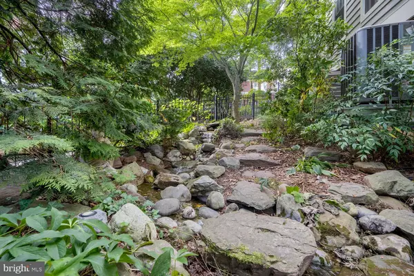 Washington, DC 20016,3543 QUEBEC ST NW