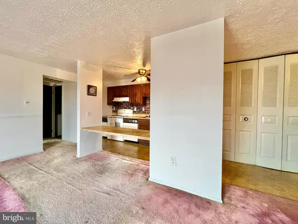 Frederick, MD 21702,999-L HEATHER RIDGE DR #2L