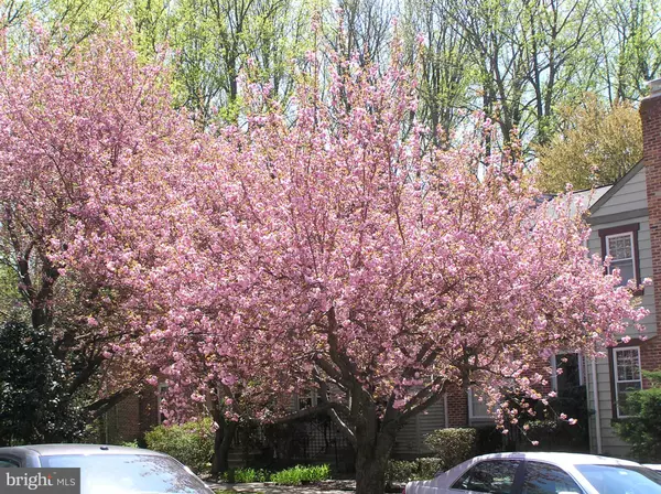 Burke, VA 22015,10053 CHESTNUT WOOD LN