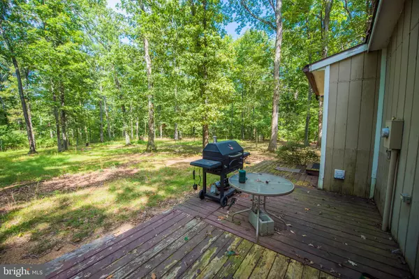 Bunker Hill, WV 25413,233 BUDDING DOGWOOD