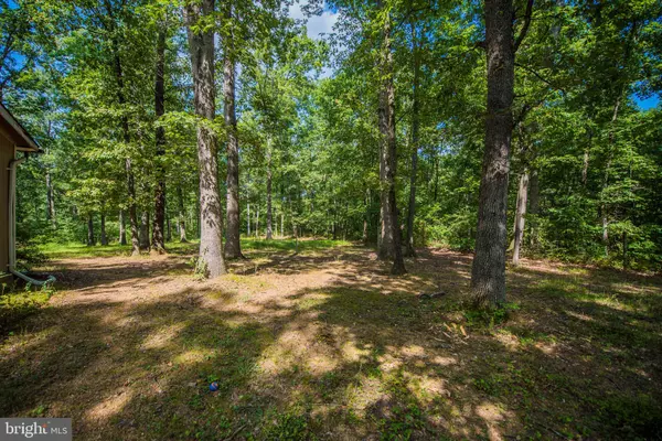 Bunker Hill, WV 25413,233 BUDDING DOGWOOD