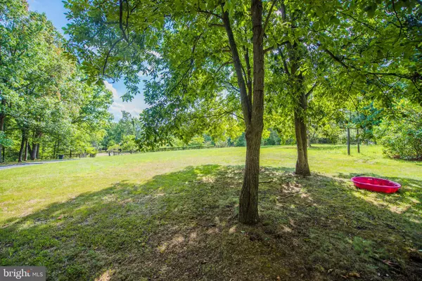 Bunker Hill, WV 25413,233 BUDDING DOGWOOD