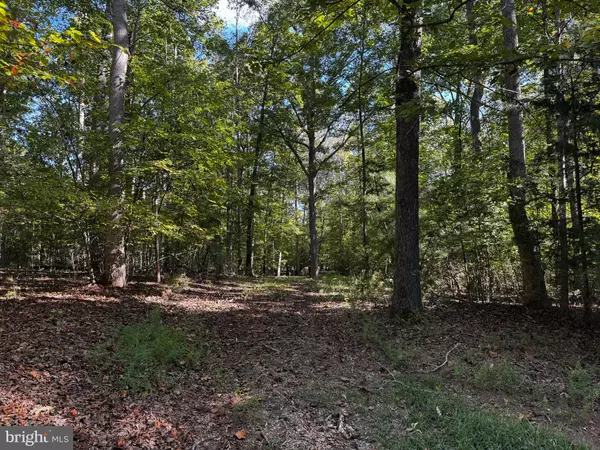 Bumpass, VA 23024,LOT 2 SIR WALTER DRIVE