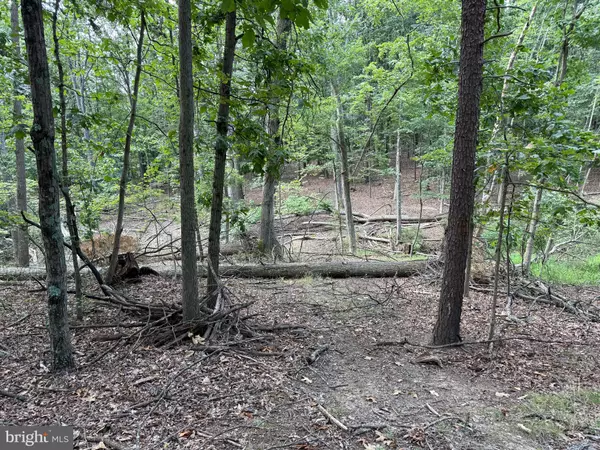 Berkeley Springs, WV 25411,FAIRVIEW DR