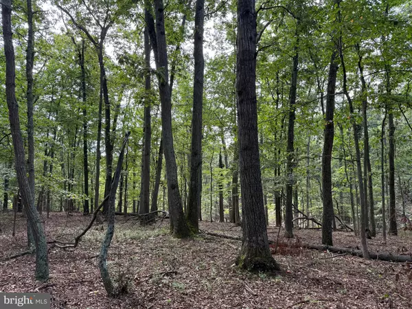 Berkeley Springs, WV 25411,FAIRVIEW DR