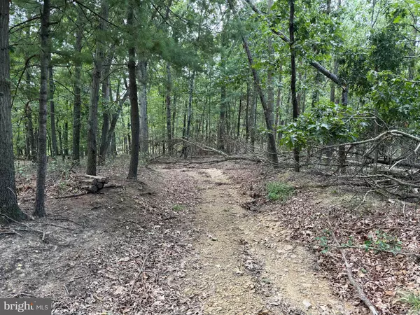 Berkeley Springs, WV 25411,FAIRVIEW DR