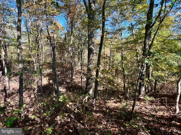 Schellsburg, PA 15559,LOT 1 ANDERSON ROAD