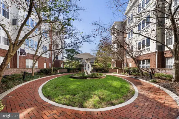 Arlington, VA 22204,801 S GREENBRIER ST #304