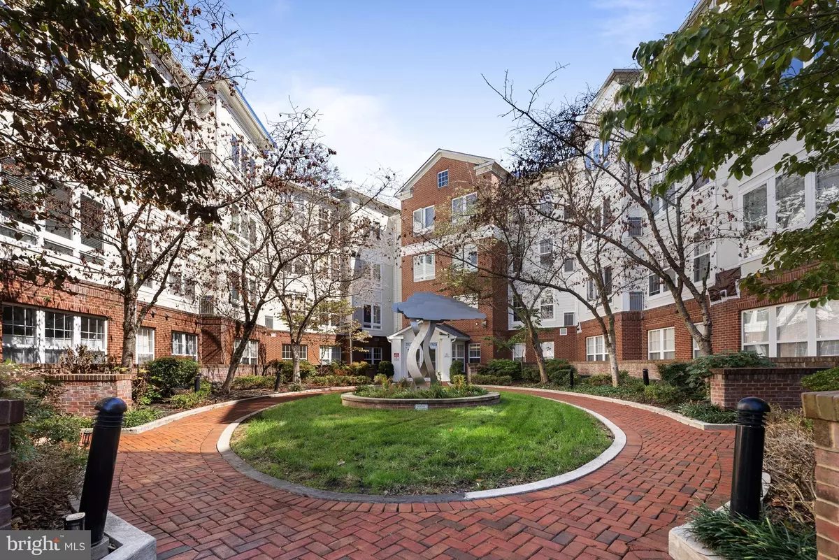 Arlington, VA 22204,801 S GREENBRIER ST #304
