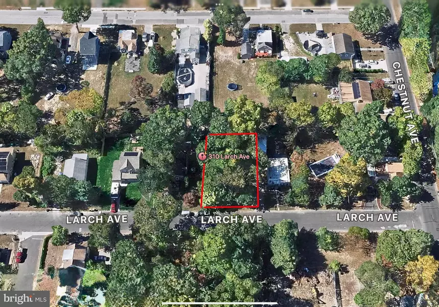 310 LARCH AVE, West Berlin, NJ 08091
