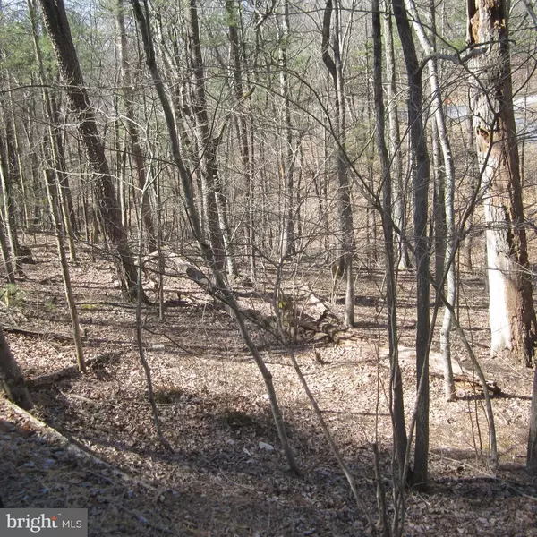 Mount Jackson, VA 22842,180 SPRUCE LN