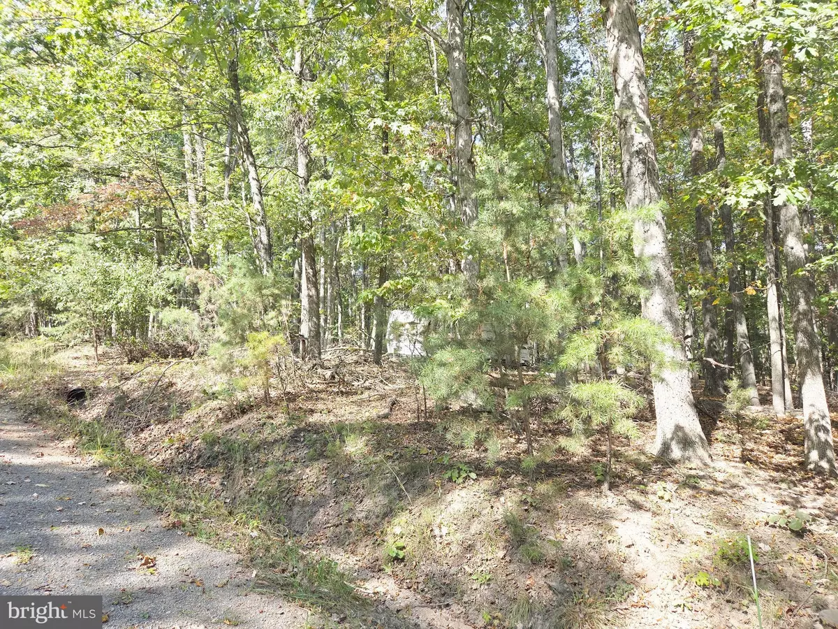 Delray, WV 26714,LOT 14 DEEP RUN HOLLOW