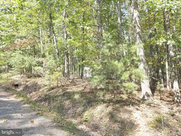 LOT 14 DEEP RUN HOLLOW, Delray, WV 26714