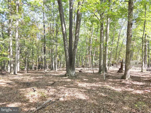 Delray, WV 26714,LOT 14 DEEP RUN HOLLOW