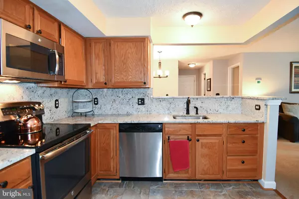 Fairfax, VA 22033,12006 RIDGE KNOLL DR #508B