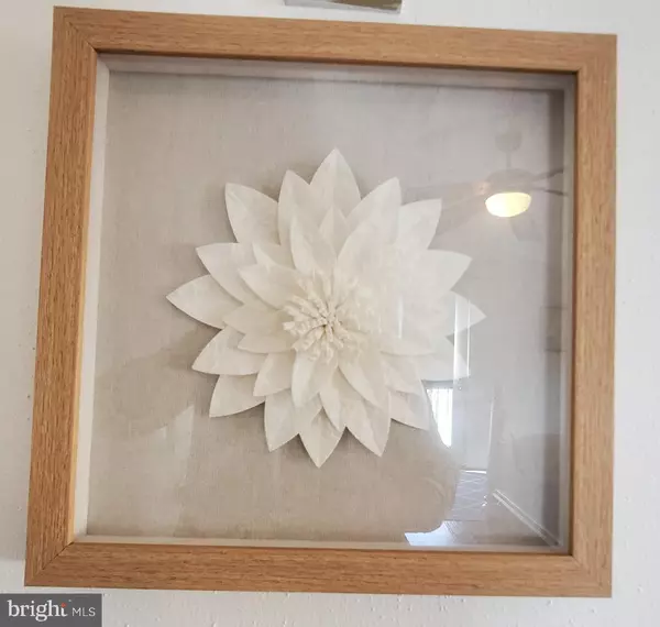 Sea Isle City, NJ 08243,210 E 81ST ST