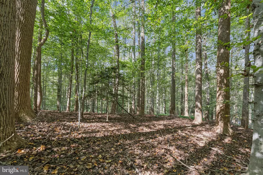 258 JEFFERY LN, Great Falls, VA 22066