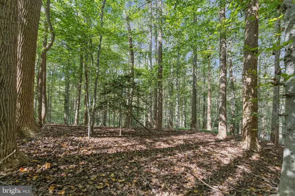 258 JEFFERY LN, Great Falls, VA 22066