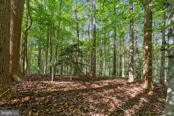 Great Falls, VA 22066,258 JEFFERY LN