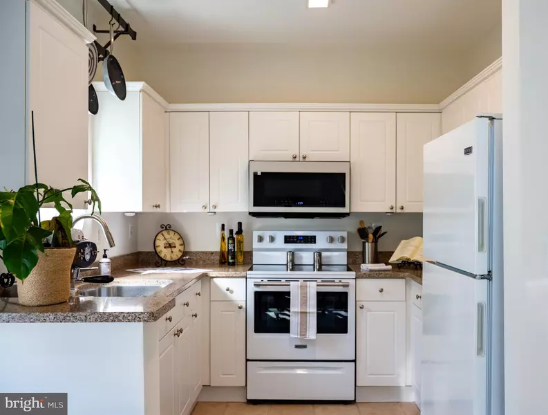 4561 STRUTFIELD LN #3115, Alexandria, VA 22311