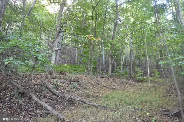 Great Cacapon, WV 25422,2083 CLAY PITS LN