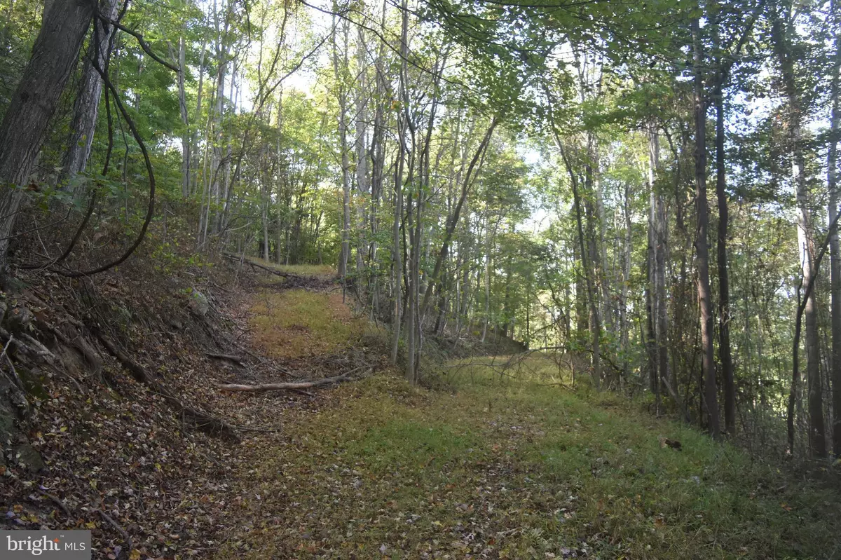 Great Cacapon, WV 25422,2083 CLAY PITS LN