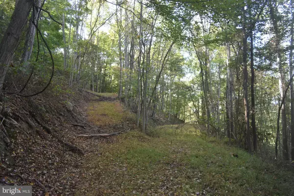 Great Cacapon, WV 25422,2083 CLAY PITS LN